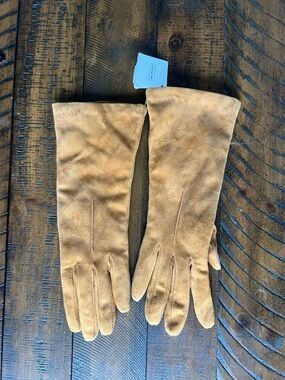Coach Suede Long Gloves in Tan